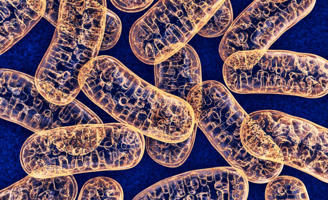 Oksijenli Solunum 2 Hücresel Solunum 2 biyoloji test soruları ve